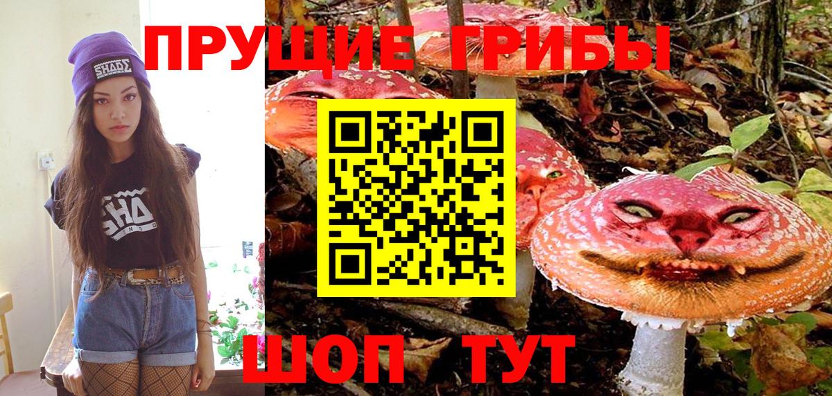 Псилоцибиновые грибы прущие грибы  Псилоцибиновые грибы Magic Shrooms  Людиново  Вход с VPN 